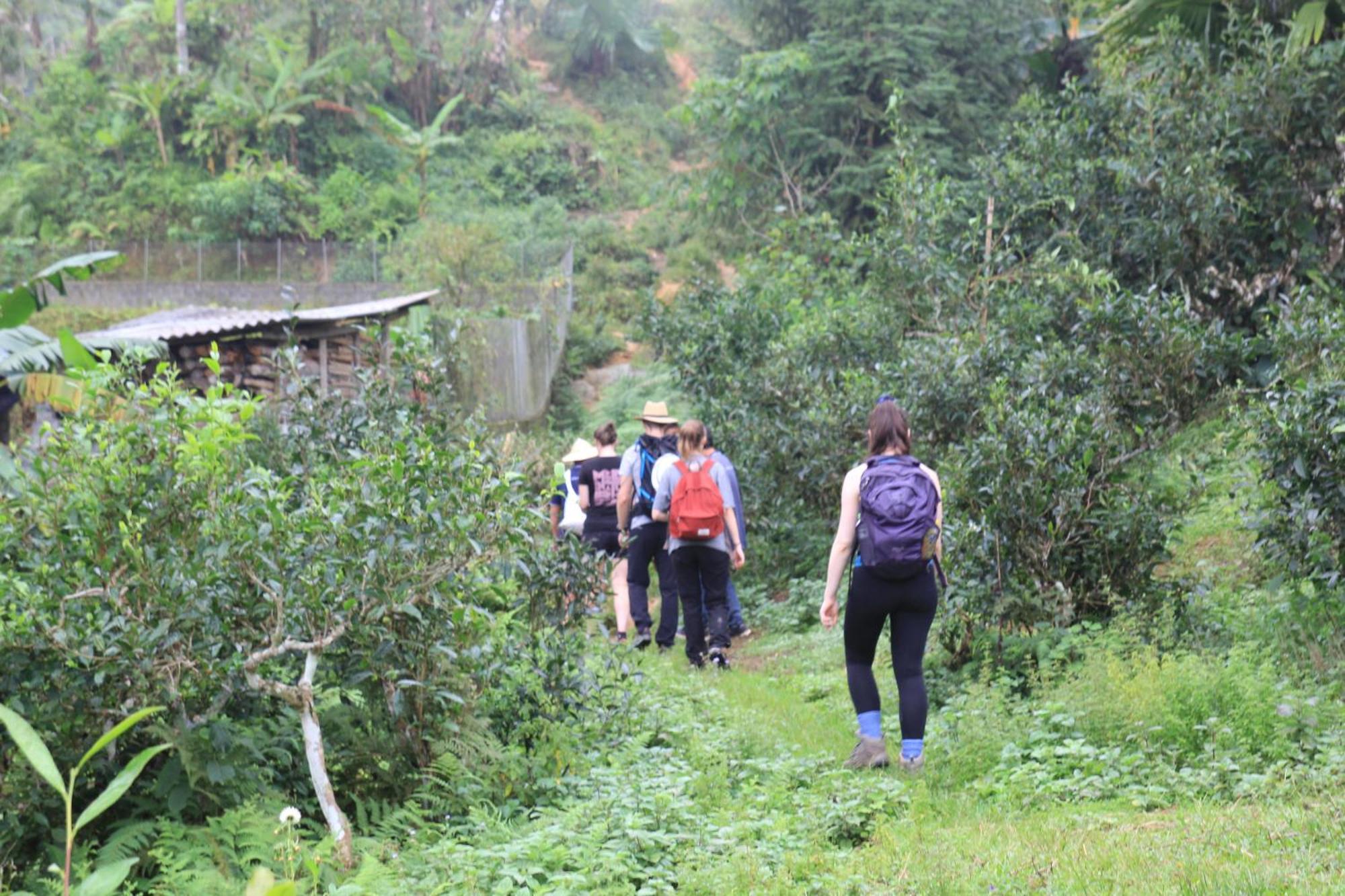 Thavill Retreat Hagiang Lejlighed Hà Giang Eksteriør billede