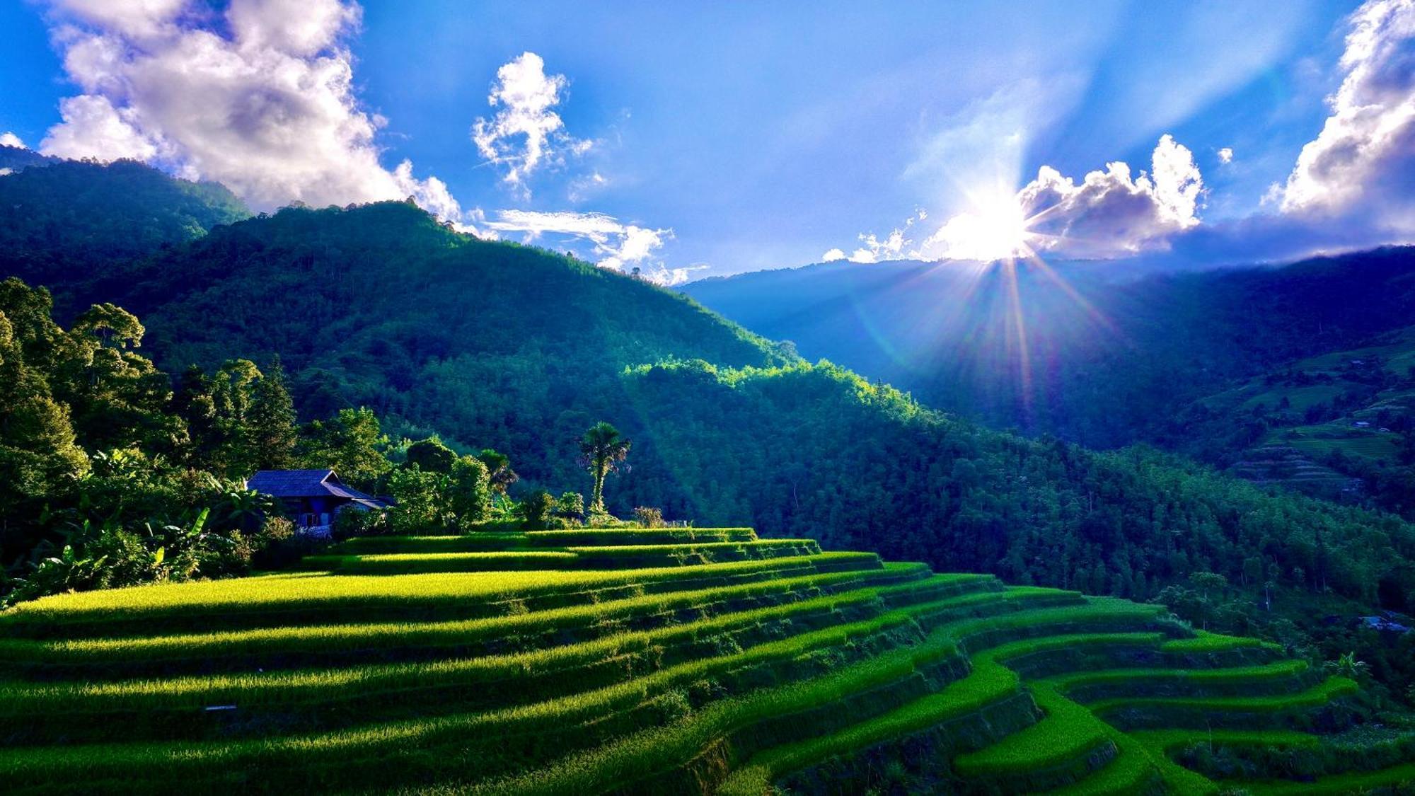 Thavill Retreat Hagiang Lejlighed Hà Giang Eksteriør billede