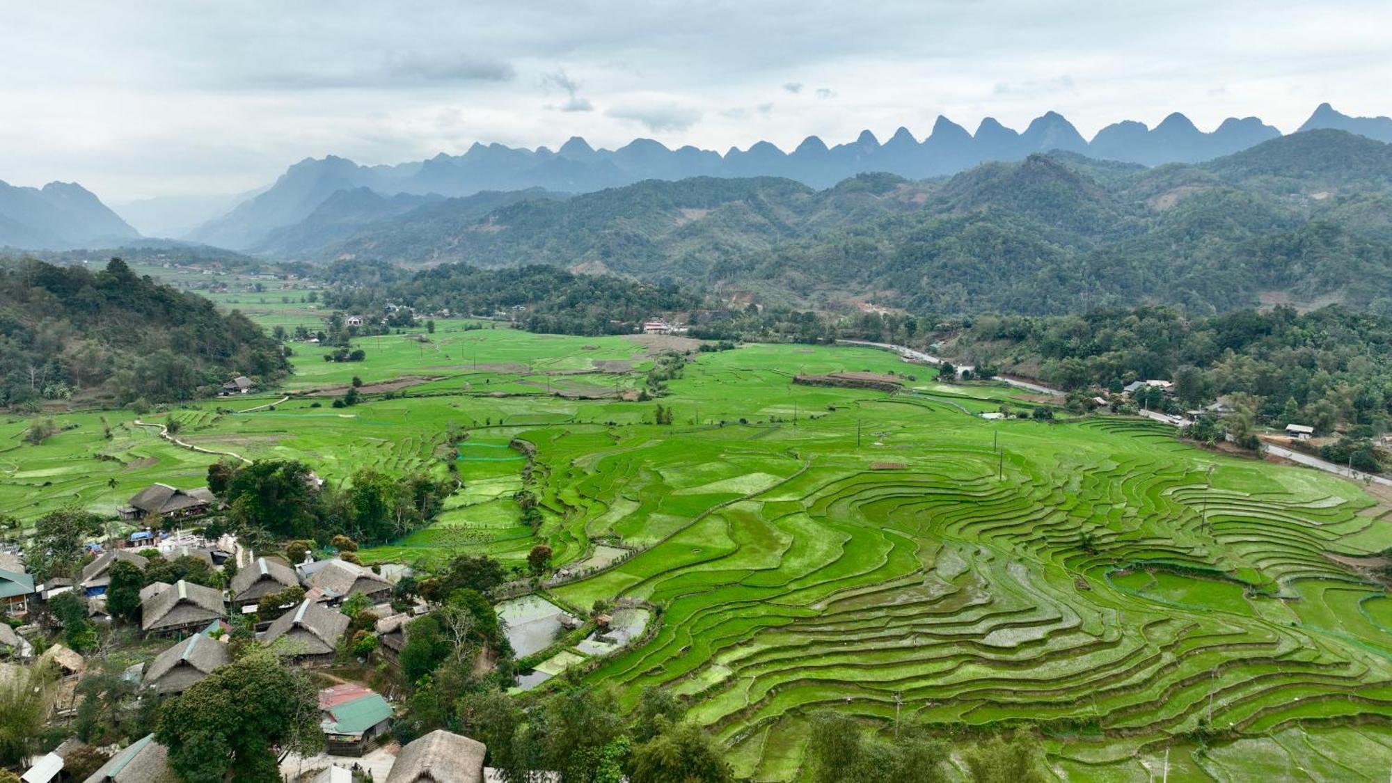 Thavill Retreat Hagiang Lejlighed Hà Giang Eksteriør billede