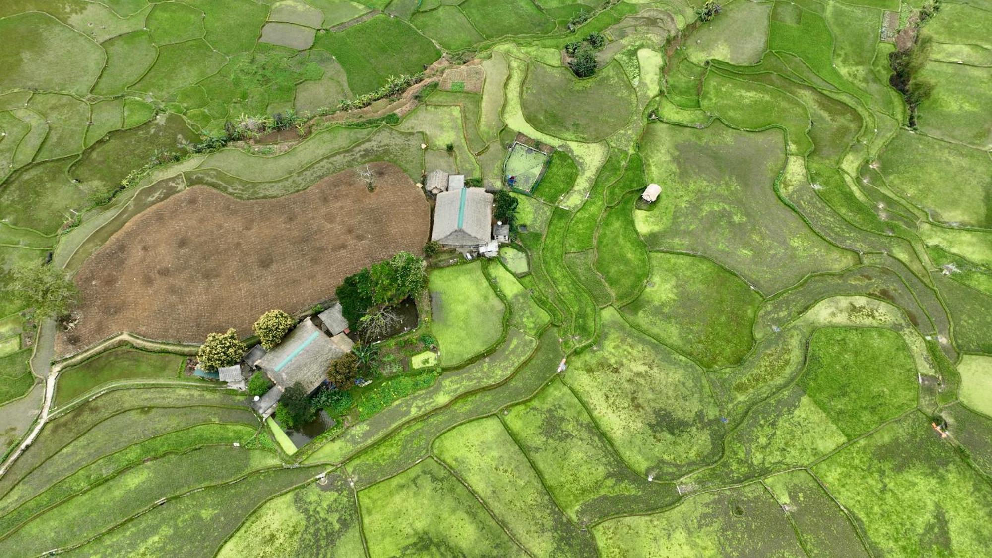 Thavill Retreat Hagiang Lejlighed Hà Giang Eksteriør billede