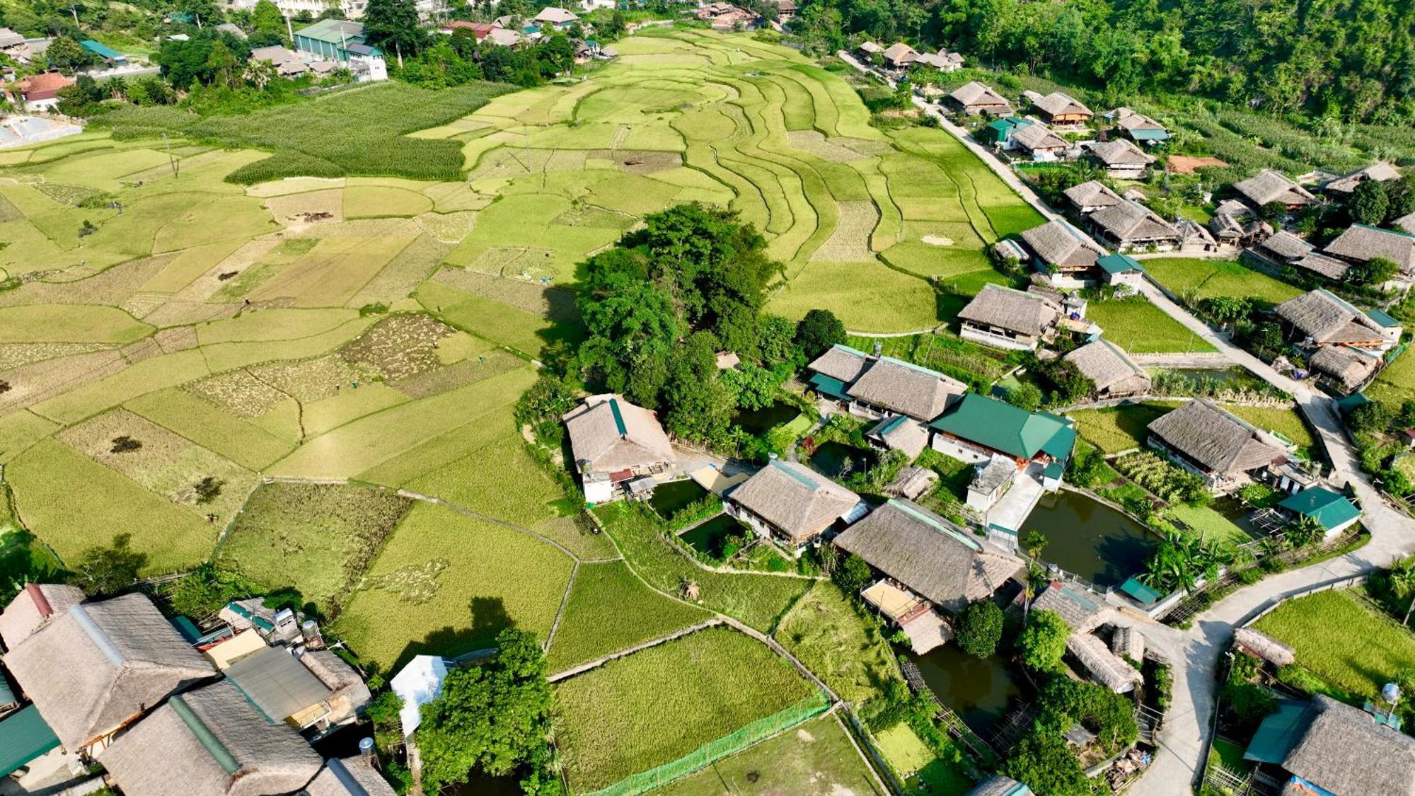 Thavill Retreat Hagiang Lejlighed Hà Giang Eksteriør billede