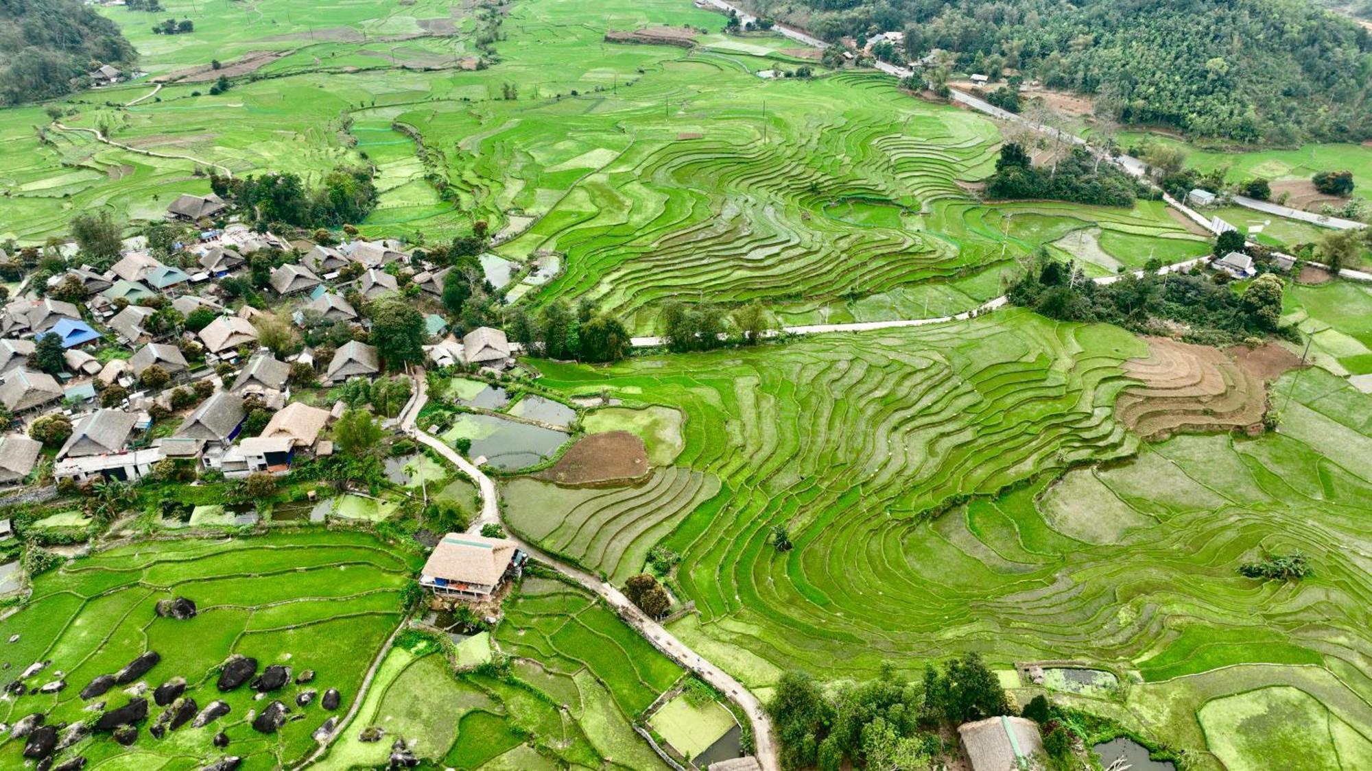 Thavill Retreat Hagiang Lejlighed Hà Giang Eksteriør billede