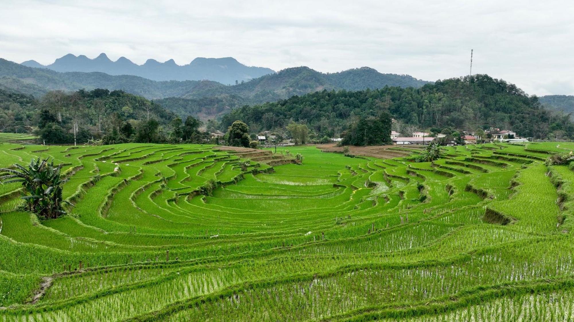 Thavill Retreat Hagiang Lejlighed Hà Giang Eksteriør billede