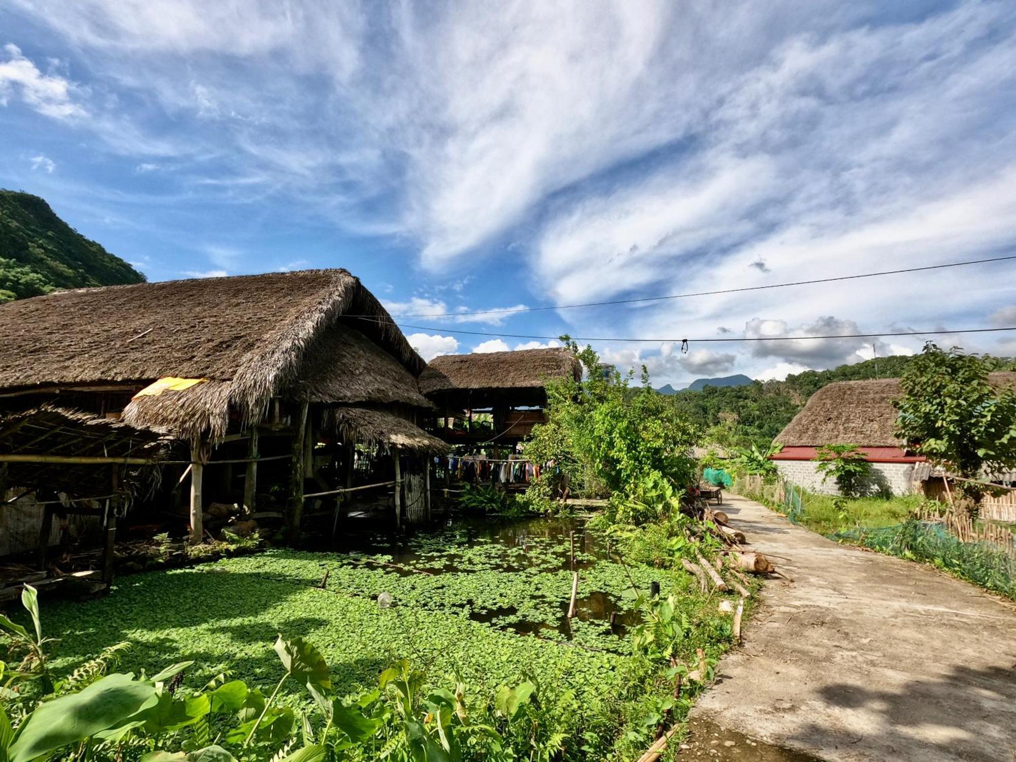 Thavill Retreat Hagiang Lejlighed Hà Giang Eksteriør billede