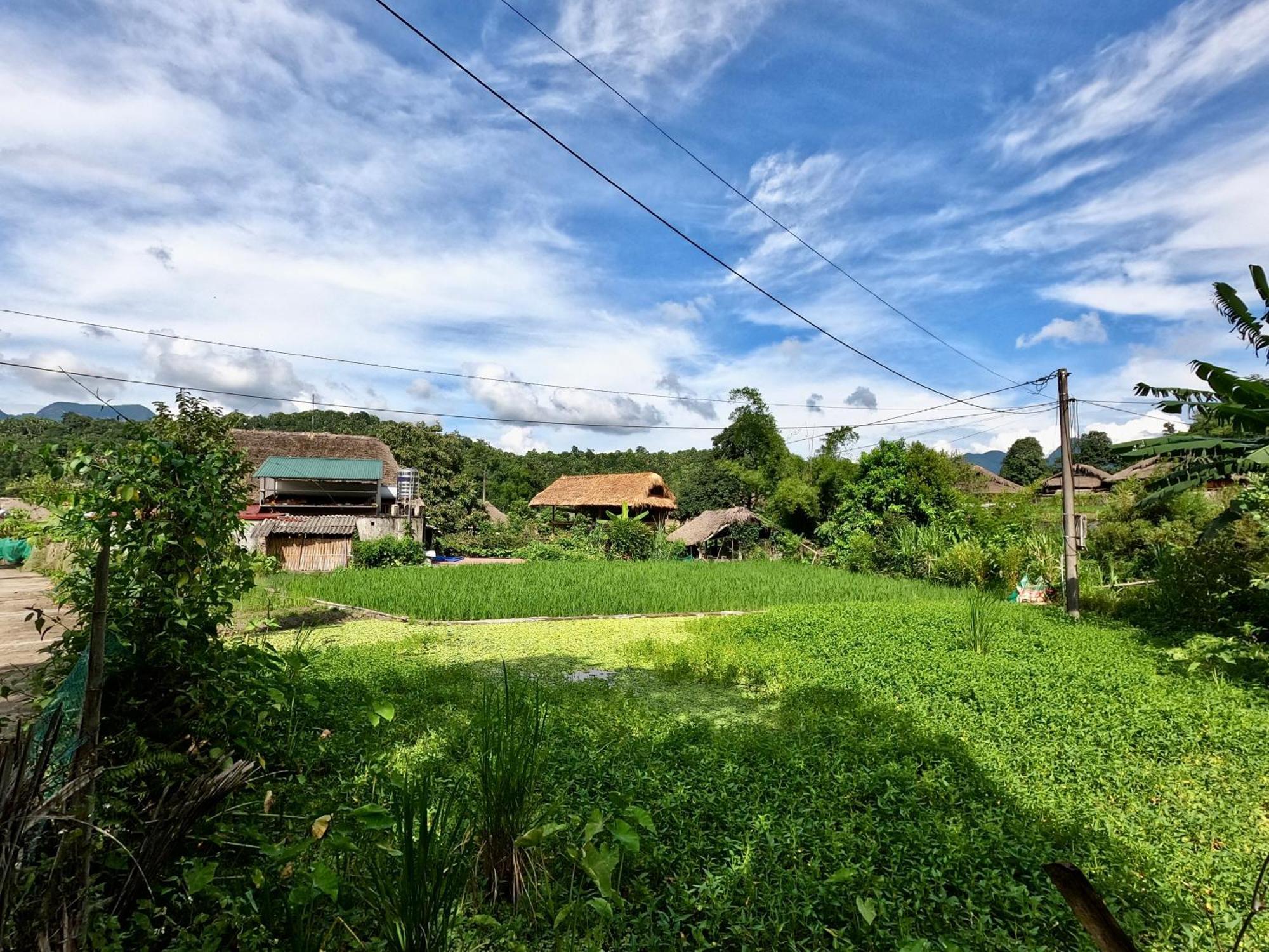 Thavill Retreat Hagiang Lejlighed Hà Giang Eksteriør billede
