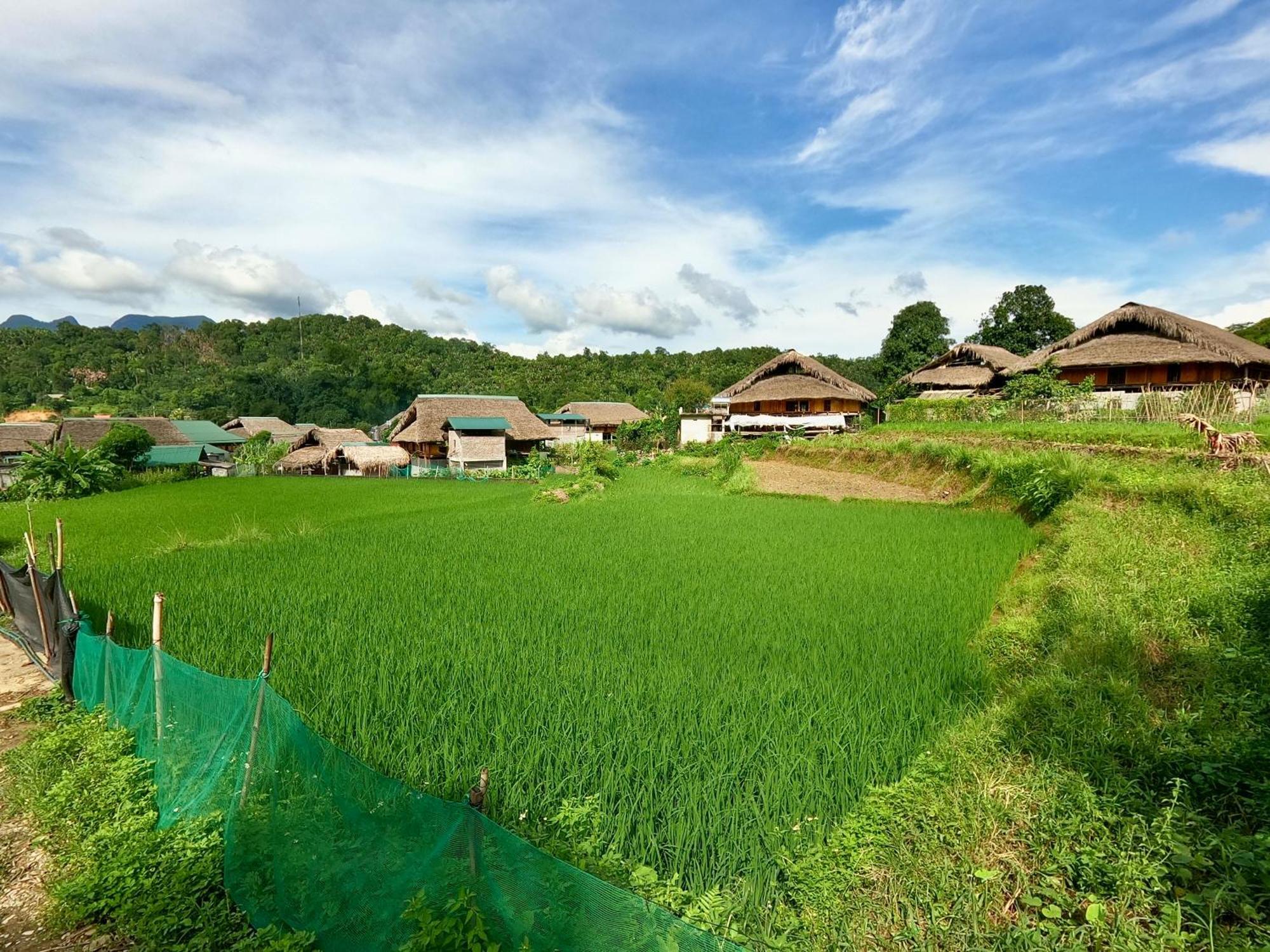 Thavill Retreat Hagiang Lejlighed Hà Giang Eksteriør billede