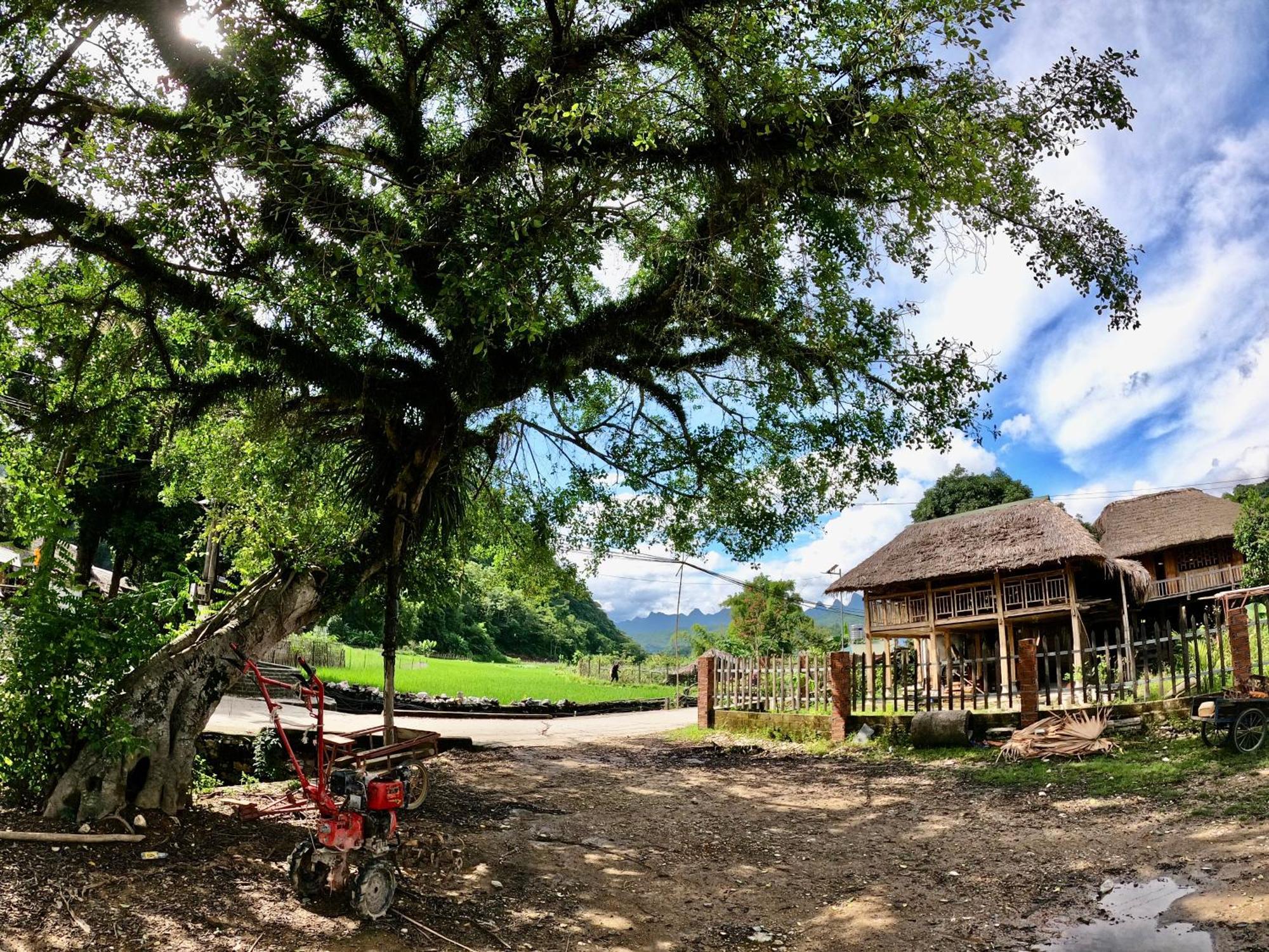 Thavill Retreat Hagiang Lejlighed Hà Giang Eksteriør billede