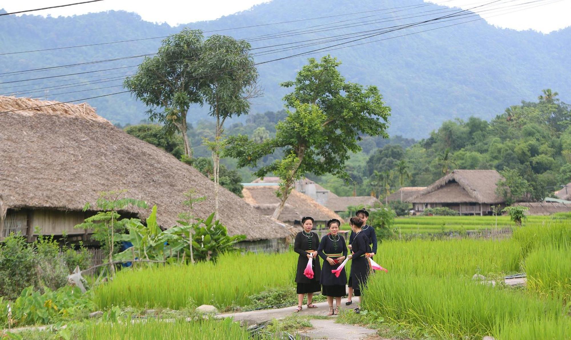 Thavill Retreat Hagiang Lejlighed Hà Giang Eksteriør billede